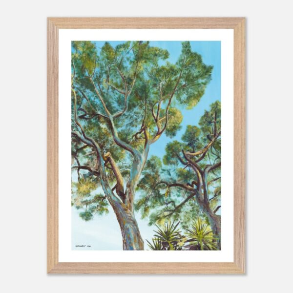 Parasol Trees: Framed Print
