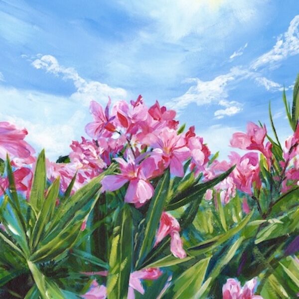 Pink Oleanders Prints